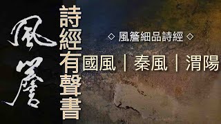 詩經有聲書｜國風｜秦風｜渭陽 🔹風簷細品詩經🔹