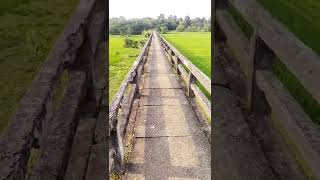 Aqueduct Bridge | palakkad Tattamangalam | Natural scenery