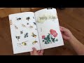 the insects book a pratical painting manual for sumi e or cbp artists