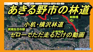 あきる野市の林道　小机・横沢林道