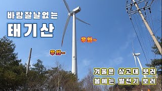 겨울 상고대의 명소 바람맛집 태기산을 봄에 가보면...