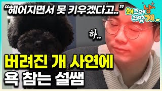 “산책 아예 안 시켰어요” 문제행동이 나타날 수밖에 없는 충격적 과거에 참을 인 쓰는 설쌤  │#왜그러냥귀엽개