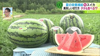 ときめき野菜通信〜夏はやっぱりスイカパワー【どさんこワイド179】2022.07.27放送