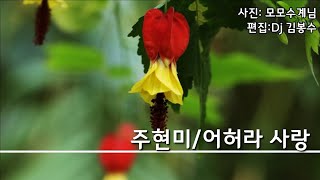 🌸주현미 어허라사랑(가사)     🌸2번듣기.