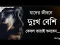 কিছুতেই সফলতা অর্জন করতে পাচ্ছো না..?? ll শক্তিশালী মোটিভেশন ll Heart motivation ll Eyaraj MTV