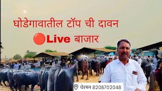 शेतकरी झाले खुश  घोडेगाव टॉप म्हैस बाजार live 🔴 / ghodegaon mhais bajar live video/ शेतकरी झाले खुश