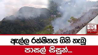 ඇල්ල රක්ෂිතය ගිනි තැබූ පාසල් සිසුන්...