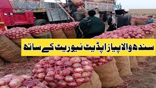 Sindh onion update with new rate 11, January 2025