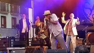 Billy Branch with Nico Wayne Toussaint Big Band TOLOSAND BLUES 2024