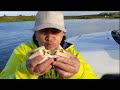 whitebaiting end of the season 2022 catchandcook fishingnz