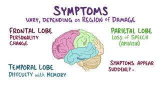 Vascular dementia   causes, symptoms, diagnosis, treatment, pathology