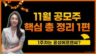 [공모주] 11월 공모주 핵심 총정리 1편 / 매력적인 공모주는? /윤성에프앤씨, 디티앤씨알오, 티에프이, 티쓰리엔터테인먼트 등