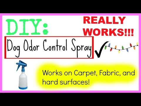 DIY: Dog ODOR eliminator spray! | (WORKS ON ALL SURFACES!) DIY: Dog ODOR eliminator spray! | (WORKS ON ALL SURFACES!)