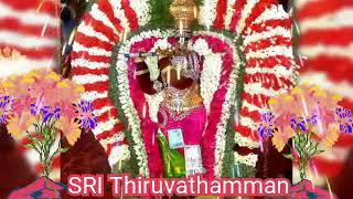 PP.mottur Thiruvathamman thiruviya 2019