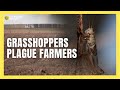 Grasshoppers, Drought Trigger Agricultural Disaster in Alberta