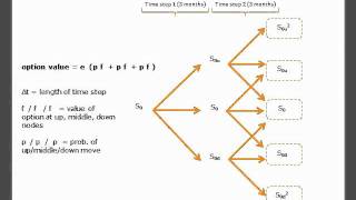 trinomial example