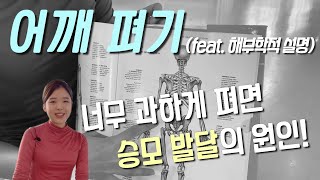 등펴라고 해서 열심히 폈는데....!! 어깨, 펴는것도 잘 못 펼 수있다고??!!!