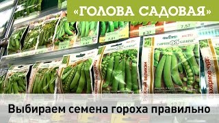 Голова садовая - Выбираем семена гороха и фасоли правильно