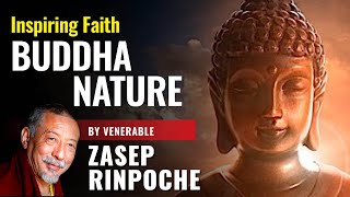 Inspiring Faith: All Beings Have Buddha Nature — Why is it the most important Mahayana concept?