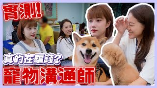 寵物溝通真的都在騙錢？實測後結果竟然是...？｜荒姨