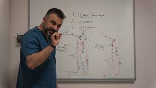 Bacak şişliği ve ağrısı nedenleri: Venöz yetmezlik, Lenfödem, Lipodem - Prof. Dr. Ahmet AKGÜL