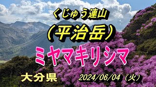 平治岳 2024/06/04