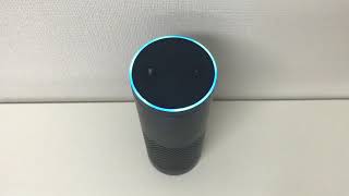 「即答英単語」編 ～Amazon Echoの全Alexaスキル調査PJ～