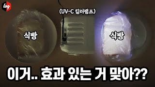 진짜 죽는 거 맞나.. UV-C 바이러스 살균램프 직접 실험해 봄! 원리부터 제품 고르는 팁 ,주의사항까지! (ft.Care222)