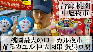 【中壢夜市#59/台湾 桃園🇹🇼】日本人観光客が行かない穴場夜市 蛇肉湯や巨大ケバブが食べれる個性的な夜市へ行ってみた