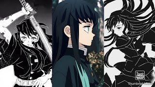 The Mist Hashira: Tokito Muichiro Tiktok Compilation Season 3 *SPOILERS* [#6]