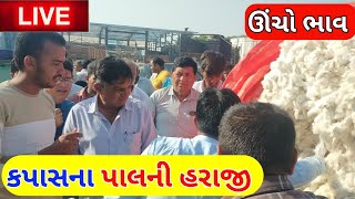 Kapas na bhav | 09-10-2023 |  live cotton trading price in APMC | commodity trading | kapas