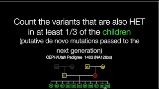 Genotype Query Tools Pedigree Analysis Example