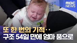 또 한 번의 기적‥구조 54일 만에 엄마 품으로 (2023.04.04/뉴스데스크/MBC)