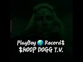 PlayBoy Record$ 🌎  Dogghouse Record$- That is As known PlayBoy Also known as $NOOP just Live on TV