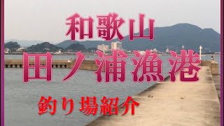 和歌山　田ノ浦漁港　釣り場紹介　魚影濃い タチウオ釣れてます　トイレ、自販機完備