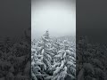 last snow this season drone austria dji fpv djiavata winter aerialfootage snow