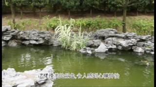 「美孚新邨荔枝角公園嶺南之風」 3