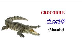 KANNADA- WILD ANIMALS(ಕಾಡು ಪ್ರಾಣಿಗಳು)