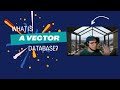 What is a vector database? Why are they critical infrastructure for #ai #applications?