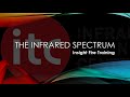 Insight Fire Training - The Infrared Spectrum