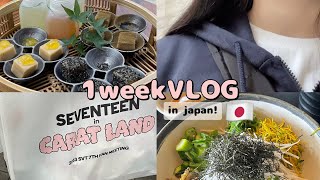 【JP/KR】韓国留学前に日本で過ごす1週間VLOG🇯🇵 嵐山、ファンミ、友達と遊ぶ、カフェ、브이로그