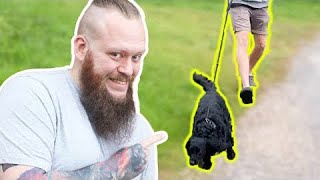 How To STOP Your Dog PULLING On The Leash