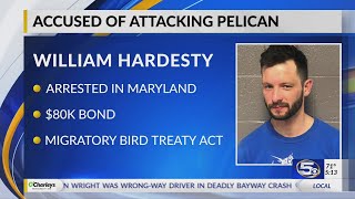 VIDEO: Maryland man who tackled pelican jailed in Key West