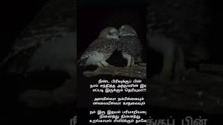 இரு இதயம் #tamil #lifemotivationalquotesintamil #tamilmotivationalquotes #quotes #shortsfeed#shorts