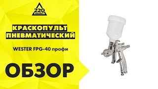 Краскопульт пневматический WESTER FPG 40 профи