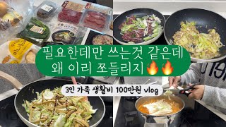 필요한 돈만 쓰는거 같은데 왜 이리 쪼들리지 | 3인 가족 절약 브이로그 | 프리랜서 육아맘의 집밥 | 고물가 시대 아낄건 식비 뿐