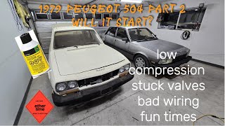 backyard find Peugeot 504 parked in 1987 will it run and drive part 2