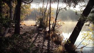 Sipoonkorven kansallispuisto - Storträsk, lampi Helsingissä (1920x1080 24fps)