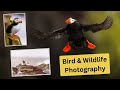 Wildlife & Bird Photography at its best! I can't even count how many animals we photographed!