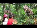 Wisata Petualangan Dinosaurus di Taman Legenda Taman Mini Indonesia Indah TMII Jakarta